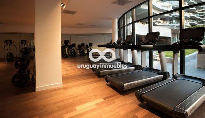 Gimnasio