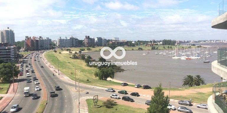 Forum_vista panoramica 2